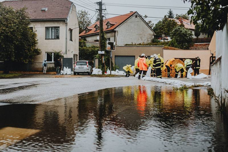 Emergency Flooded Yard Drainage - Roseville French Drain